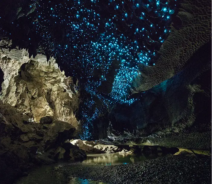 glowworm caves
